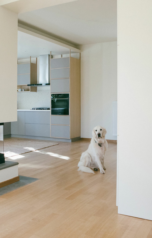 Renovation-in-Marousi-Athens-Greece-01